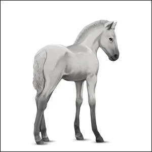 Quelle est la couleur de cette robe ?