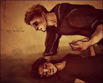 Qui sont les quatre finalistes ?