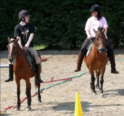 En reprise, quelle est la distance d'cart entre deux chevaux ?