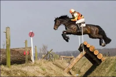 Quelle protection est obligatoire quand on monte  cheval ?