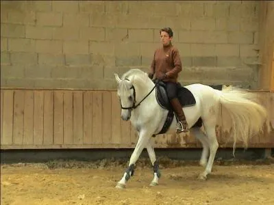 Quelles sont les aides artificielles ?