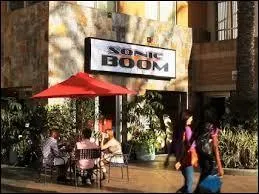 Comment s'appelle le magasin que tient le pre d'Ally ?