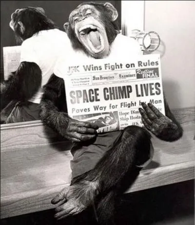 En 1961, il est le premier chimpanz envoy par la NASA dans l'espace, il s'appelait ...