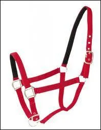 Quel nom porte ceci ?