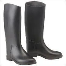 Que peut-on voir sur la photo ?