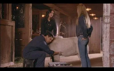 Pourquoi Lou refuse-t-elle que ce poney reste  Heartland ?