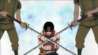 Pour quelle cause se battent-ils ? Qui est-il aux yeux de Luffy pour qu'ils viennent le sauver ?
