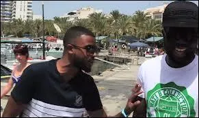 Qui a quitt la Sexion d'Assaut ?