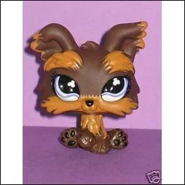 Quelle est cette race de Petshop ?