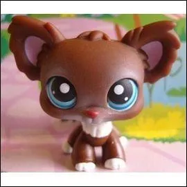 Quelle est cette race de Petshop ?