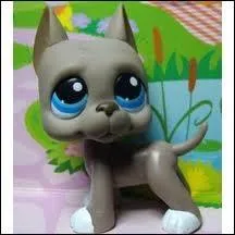 Quelle est cette race de Petshop ?