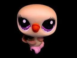 Quelle est cette race de Petshop ?