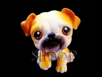 Quelle est cette race de Petshop ?