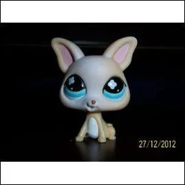 Quelle est cette race de Petshop ?