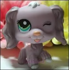 Quelle est cette race de Petshop ?