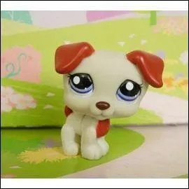 Quelle est cette race de Petshop ?