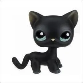 Quelle est cette race de Petshop ?