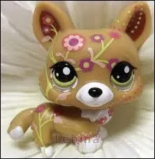 Quelle est cette race de Petshop ?