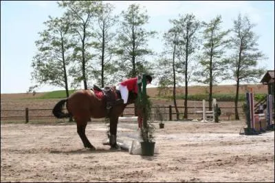Que fait la cavalire penche sur l'encolure de son cheval ?