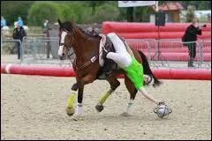 Pour attraper la balle au horse-ball il faut se pencher ...