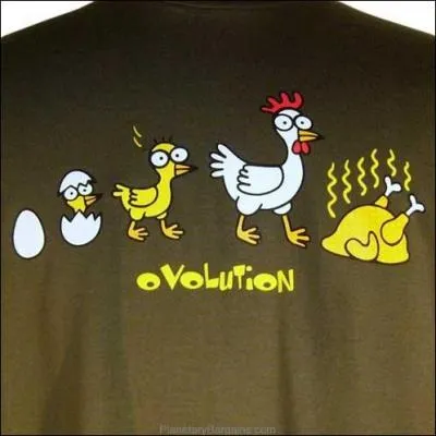 Tu connais bien les poulets, n'est-ce pas, mais combien crois-tu qu'il y ait de ces oiseaux sur notre plante ?