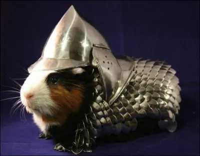 Qui se cache dans l'armure ?