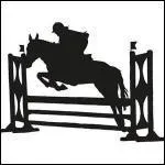 Comment se nomme cette discipline ?