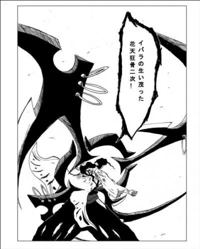 Et celui de Kyoraku ?