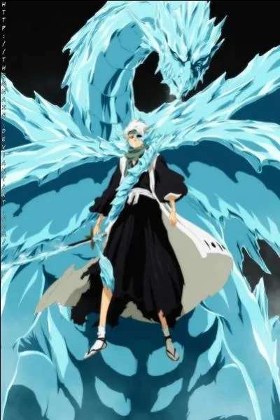 Celui du petit gnie Hitsugaya ?