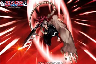 L aussi, le nom complet du vrai Bankai de Renji ?