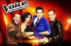 Qui est le nouveau jury du jeu tlvise The Voice ?