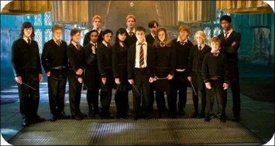 Comme Ombrage ne veut pas faire de pratique durant ses cours de  dfense contre les Forces du Mal  car le ministre trouve cela inutile, de quoi Harry devient-il le chef ?