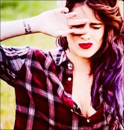 Quel est son plat prfr ?