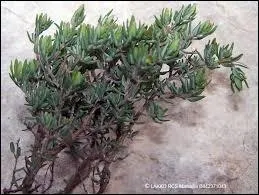 Combien est-on pour ne pas rester allum ?