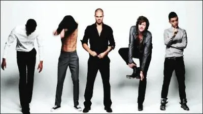 Comment appelle-t-on les fans de The Wanted ?