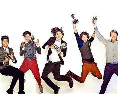 Comment appelle-t-on les fans des One Direction ?