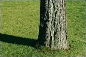 Combien sommes-nous à être souvent pressés ?