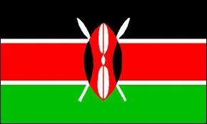 De quel pays ce drapeau est-il le symbole ?