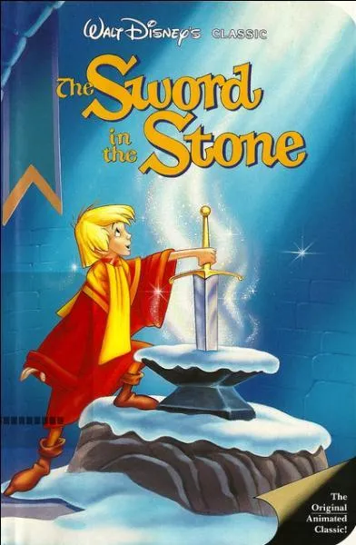 En quelle anne le dessin anim est-il sorti pour la premire fois en vido ?