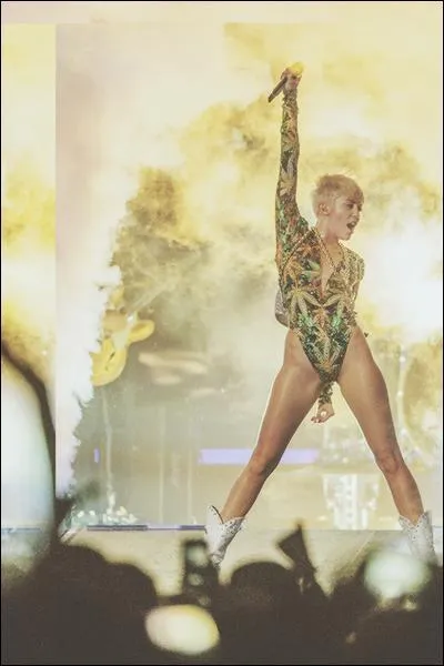 Avec qui Miley a-t-elle dj fait un duo ?