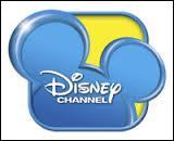 Il y a trois chane Disney : Disney Chanel, Disney xD et Disney :