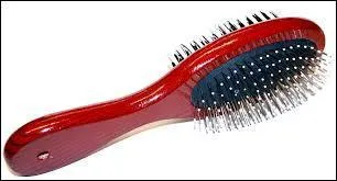 Quelle est cette brosse ?