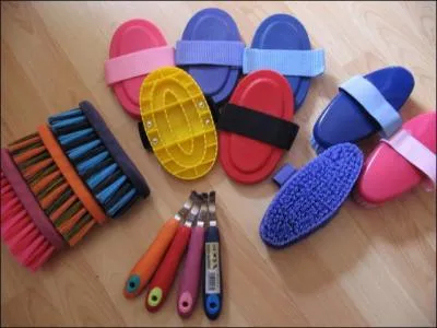 Le pansage : qui dgage les lacunes et la sole ?