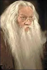 Qui joue le rle d'Albus Dumbledore ? (Harry Potter 1 et 2)