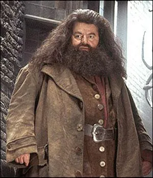 Qui joue le rle d'Hagrid ?