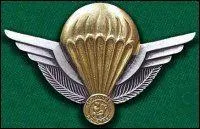 A quel pays d'Afrique centrale appartient ce brevet ?