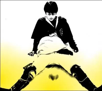 [Harry Potter  l'cole des Moldus] Physique. Quand Harry chute de son balai, et cela arrive souvent, pourquoi tombe-t-il en direction du sol ?