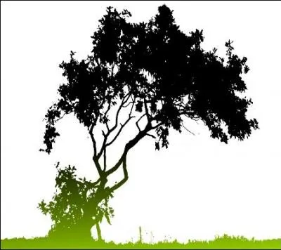 Botanique. Chez La Fontaine, je craque face au roseau ; chez Rowling, je suis le bois dans lequel est fabrique la porte du hall d'entre.