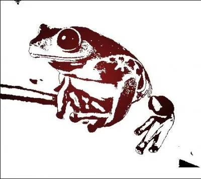 Orthographe. Quel est le genre du mot  Chocogrenouille  ?