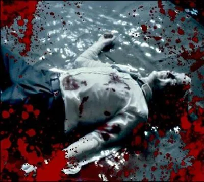 Harry prouve-t-il du remords aprs avoir taillad Drago Malefoy  l'aide du sortilge Sectumsempra ?